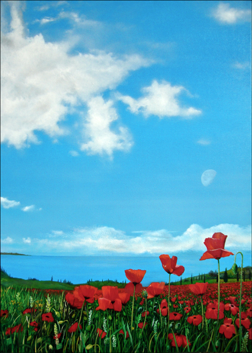 Poppies 2010